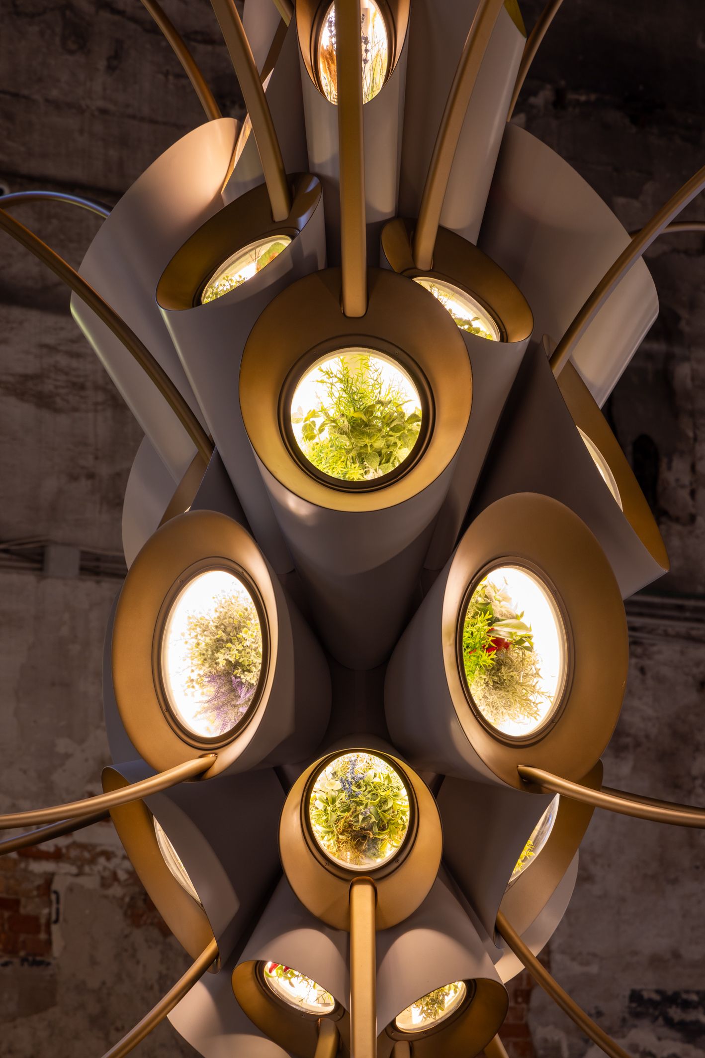 The Plan to Send Plant-Filled ‘Gardens’ Into Orbit